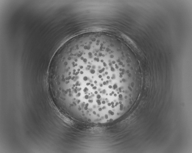 X0000072931178200608041208