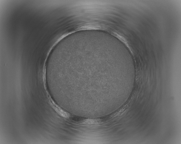 X0000072931179200608041208