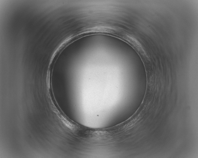 X0000072931180200608041208