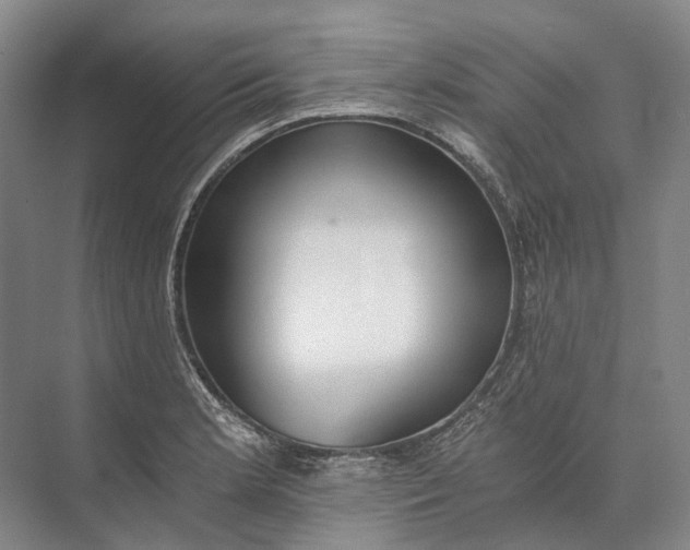 X0000072931181200608041208