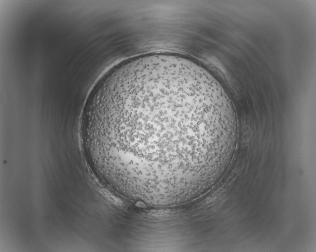 X0000072931182200608041208