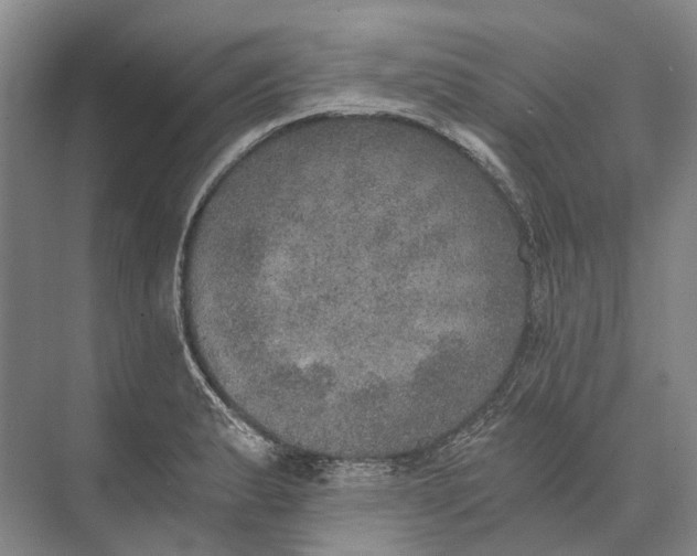 X0000072931183200608041208