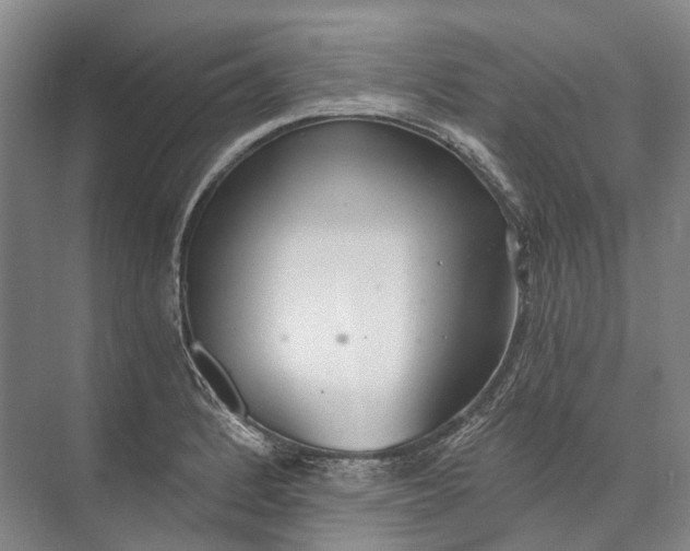 X0000072931184200608041208