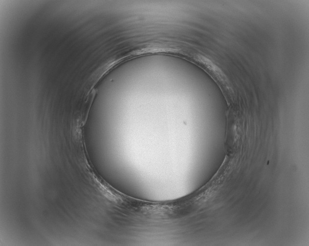 X0000072931185200608041208