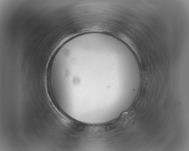 X0000072931187200608041208