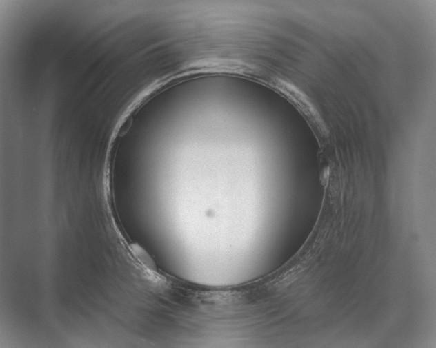 X0000072931188200608041208