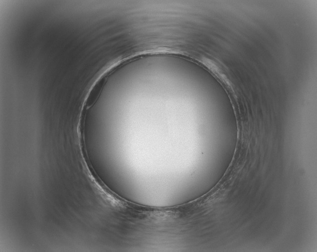 X0000072931189200608041208