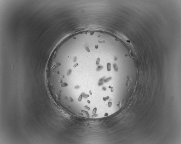 X0000072931190200608041208