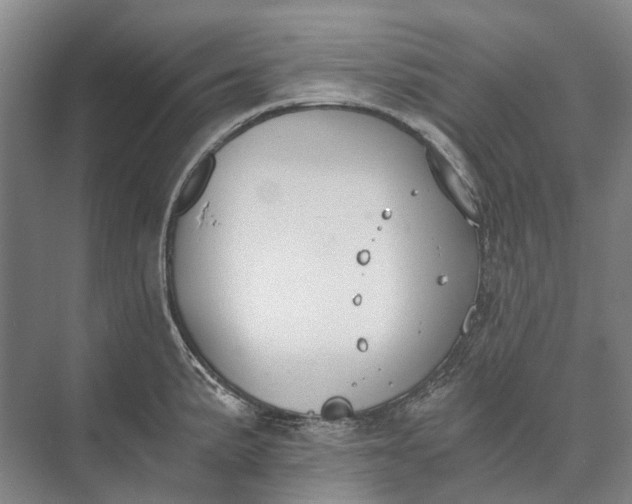 X0000072931191200608041208