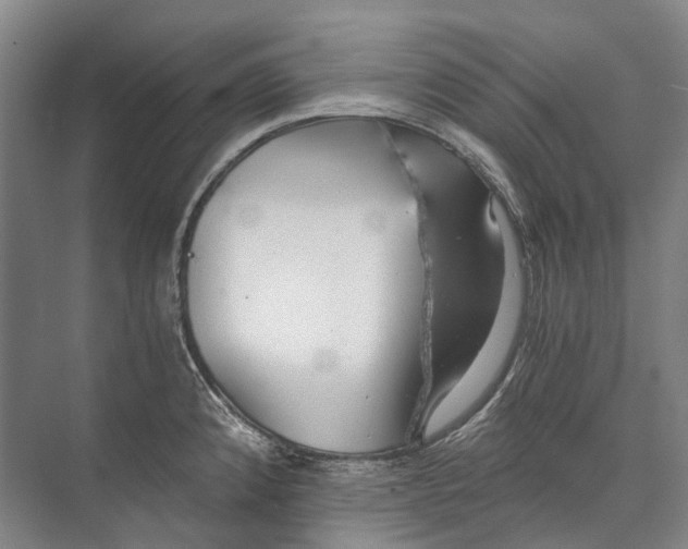 X0000072931192200608041208