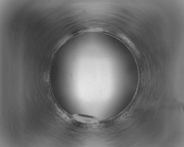 X0000072931193200608041208