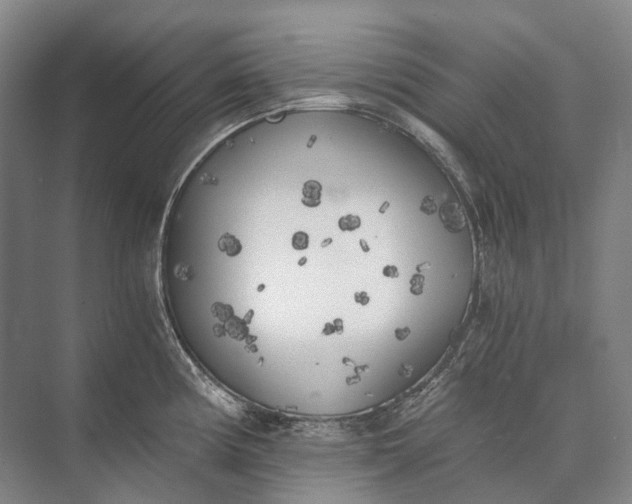 X0000072931194200608041208