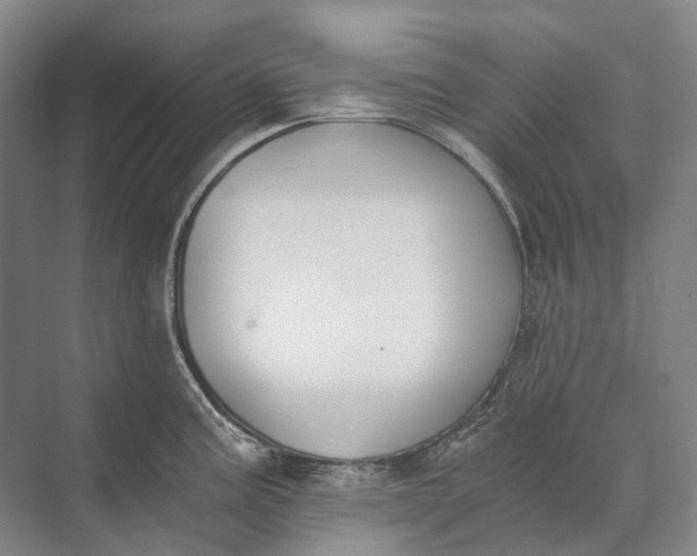 X0000072931195200608041208