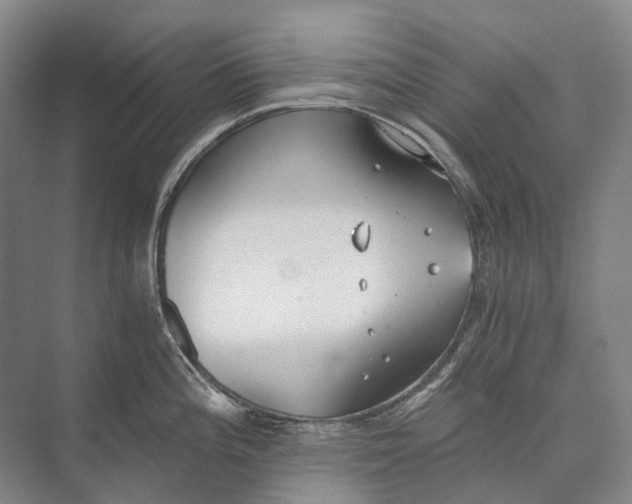 X0000072931196200608041208