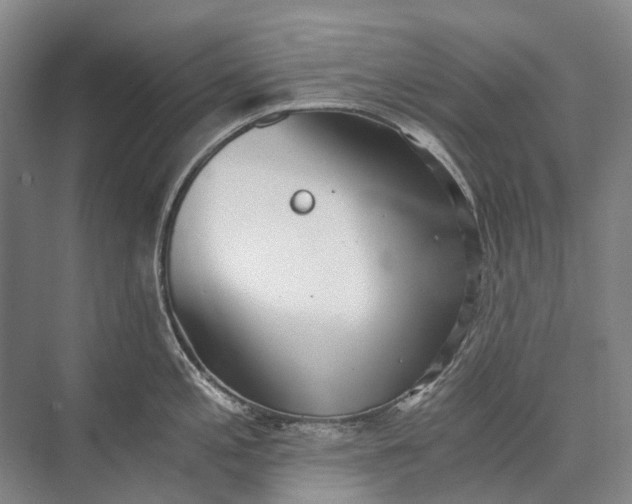 X0000072931197200608041208