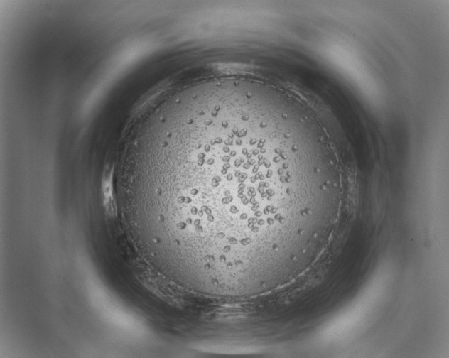 X0000072931198200608041208