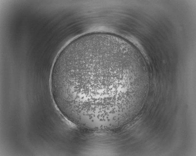 X0000072931199200608041208