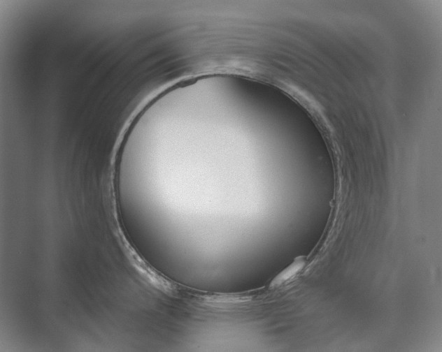 X0000072931200200608041208