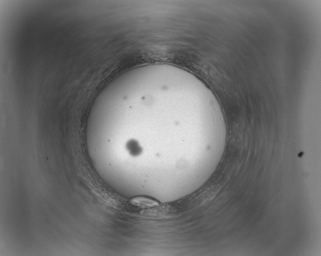 X0000072931201200608041207