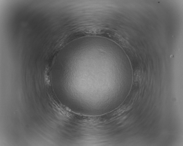 X0000072931202200608041207