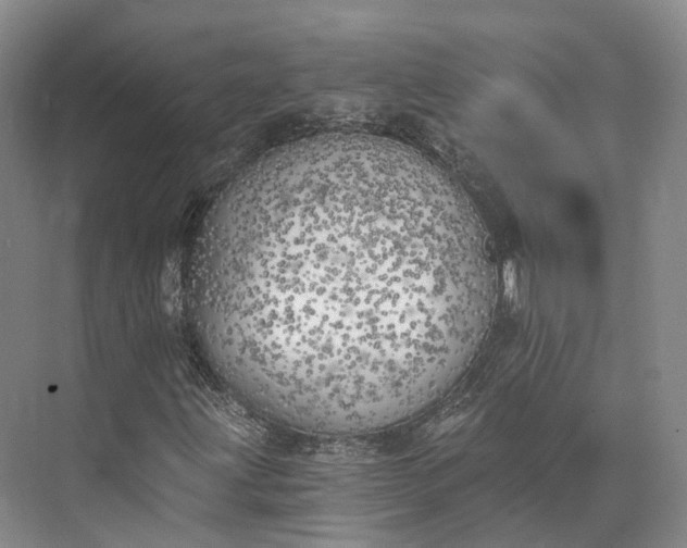 X0000072931203200608041207