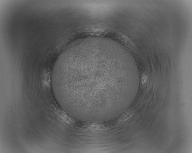 X0000072931204200608041207