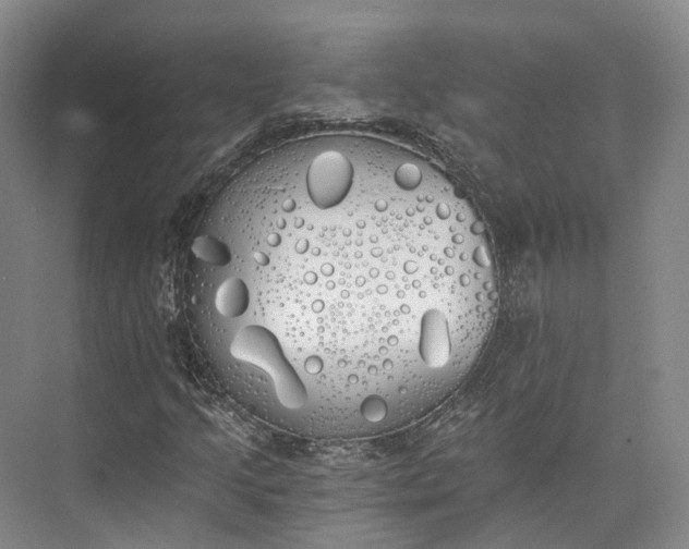 X0000072931205200608041207