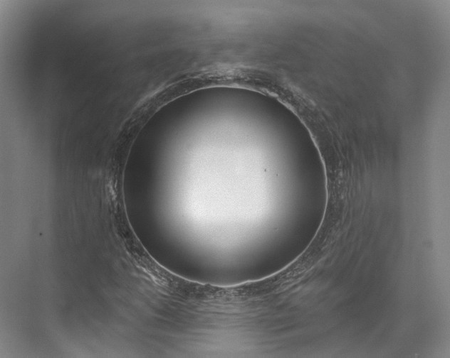 X0000072931206200608041207