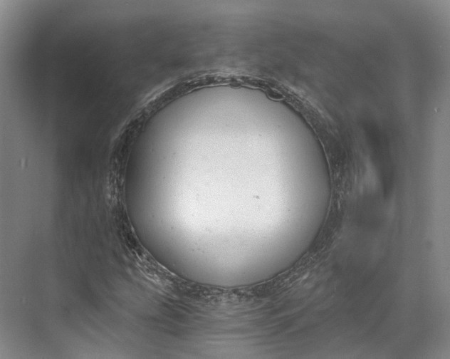 X0000072931207200608041207