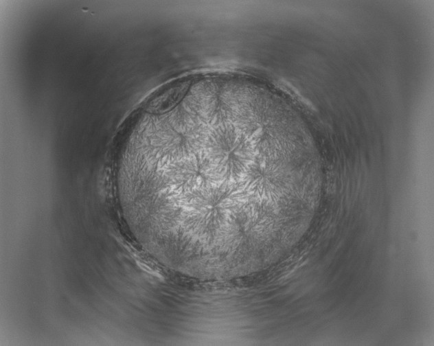 X0000072931208200608041207