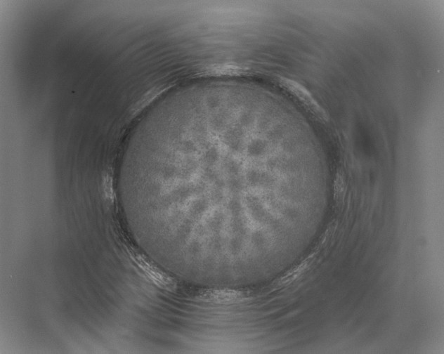 X0000072931209200608041207