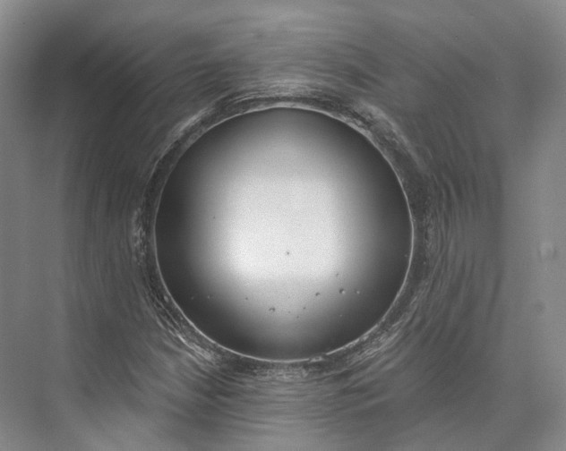 X0000072931210200608041207