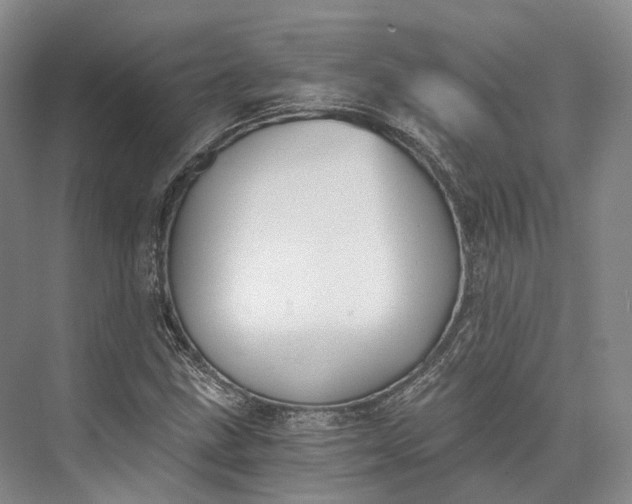 X0000072931211200608041207