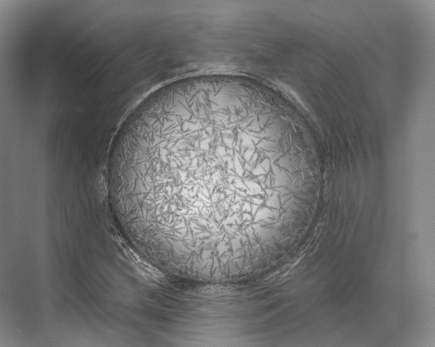 X0000072931212200608041207