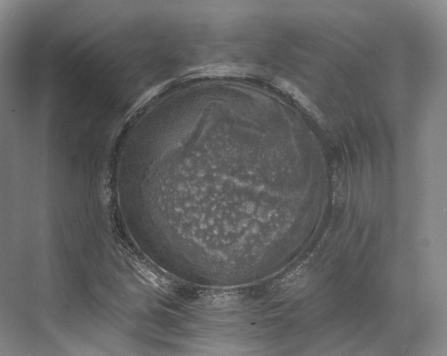 X0000072931213200608041207