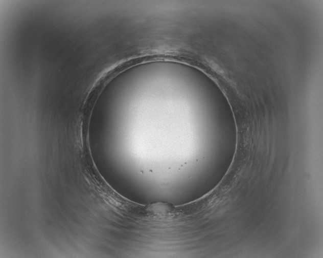 X0000072931214200608041207