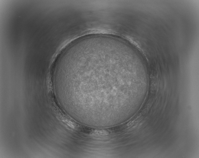 X0000072931215200608041207