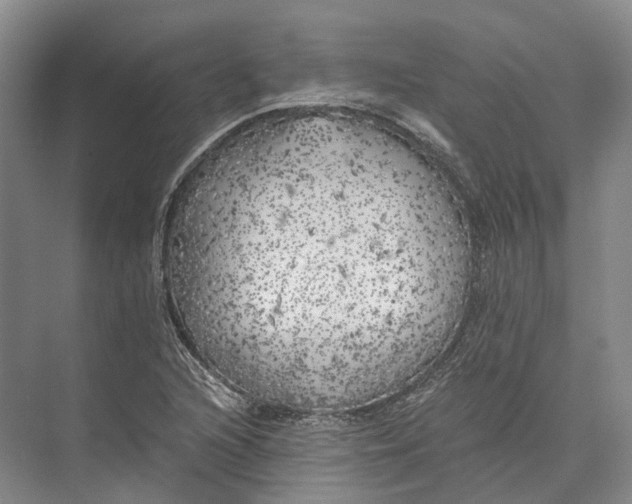 X0000072931216200608041207