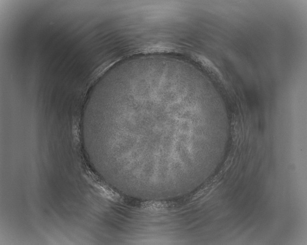 X0000072931217200608041207