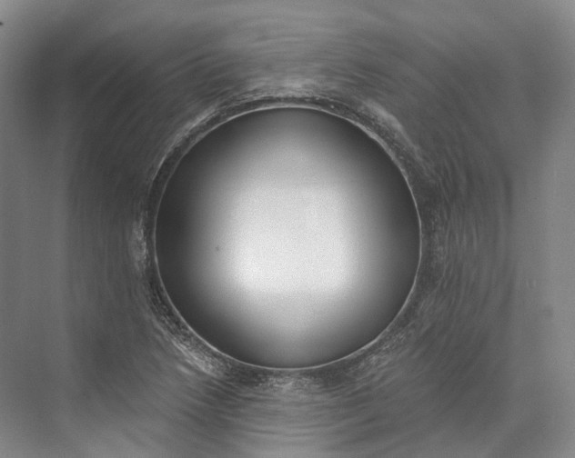 X0000072931218200608041207