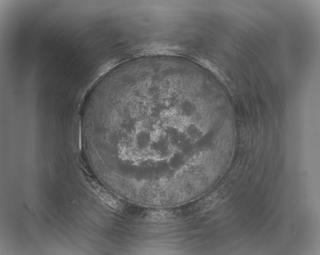 X0000072931219200608041207