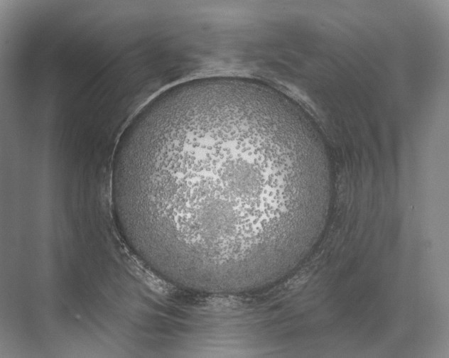 X0000072931220200608041207