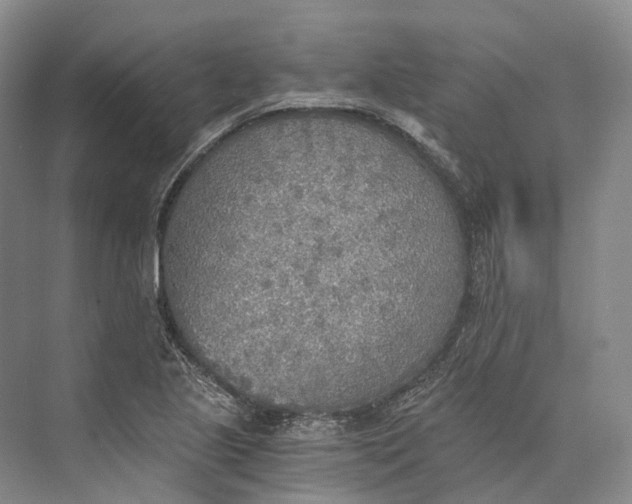 X0000072931221200608041207