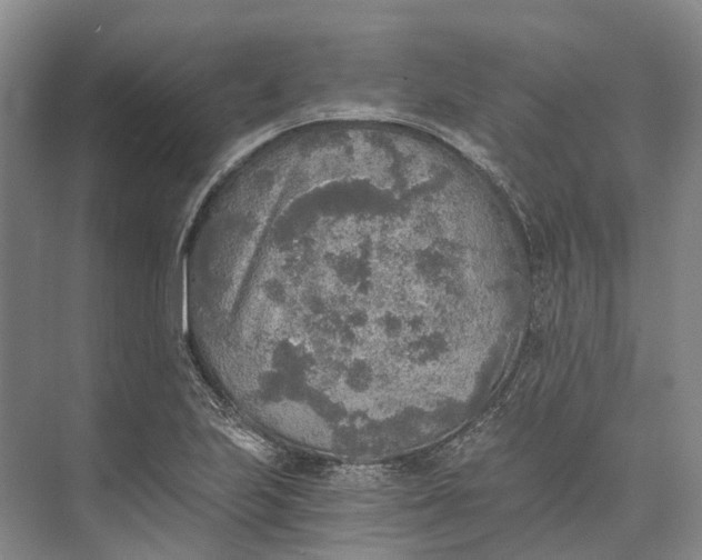 X0000072931223200608041207