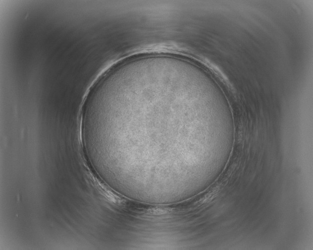 X0000072931224200608041207