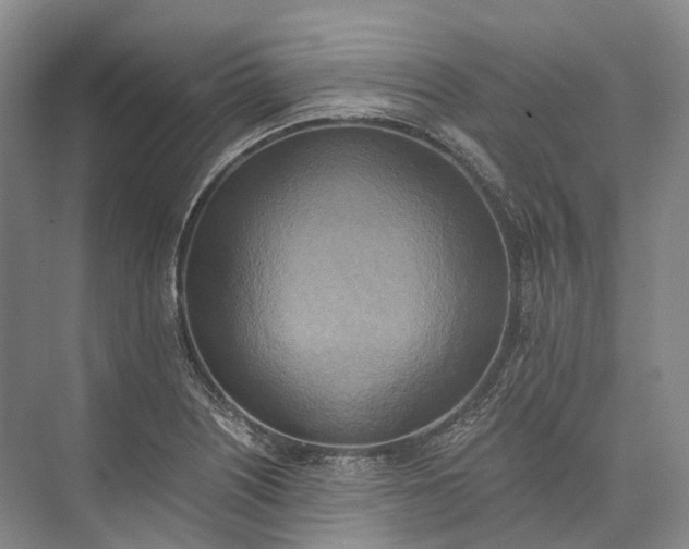 X0000072931226200608041207