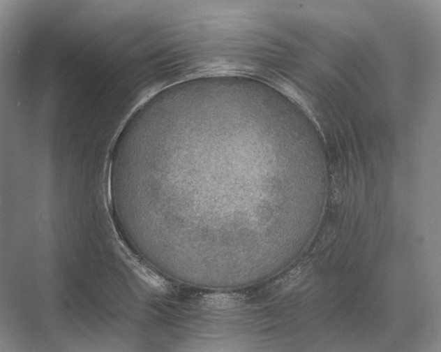 X0000072931227200608041207