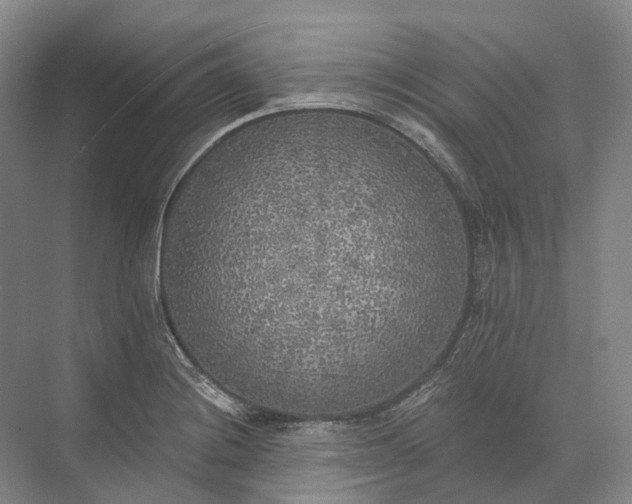 X0000072931228200608041207