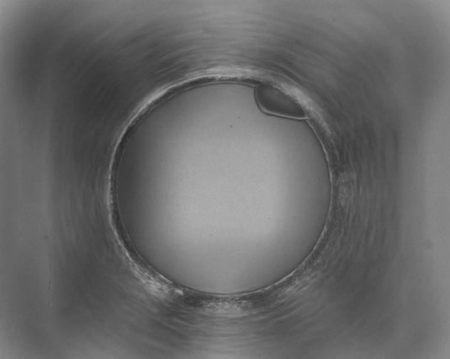 X0000072931229200608041207