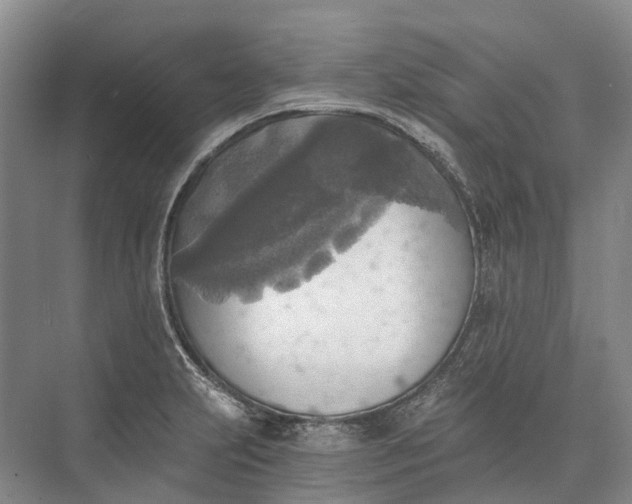 X0000072931231200608041207